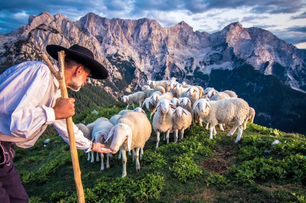 Tourist Farm Senkova Domacija Villa Zgornje Jezersko Buitenkant foto